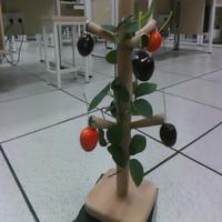 Dataset Image