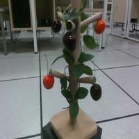 Dataset Image