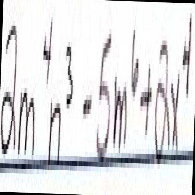 Dataset Image