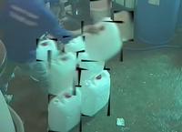 Dataset Image
