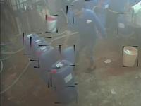 Dataset Image