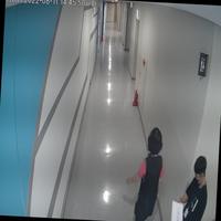Dataset Image