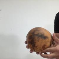 Dataset Image