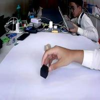 Dataset Image