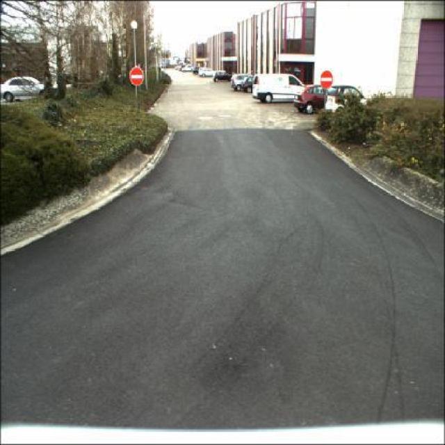 Dataset Image