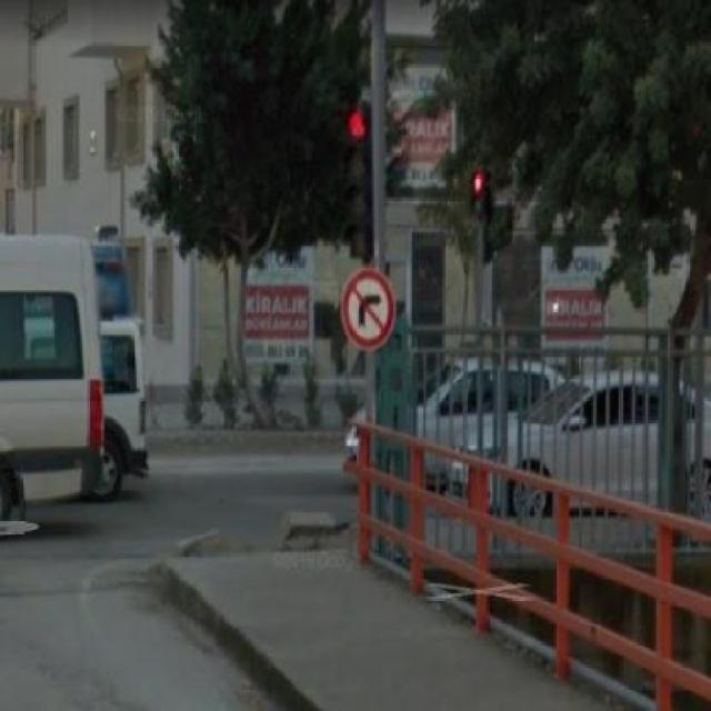 Dataset Image