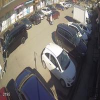 Dataset Image