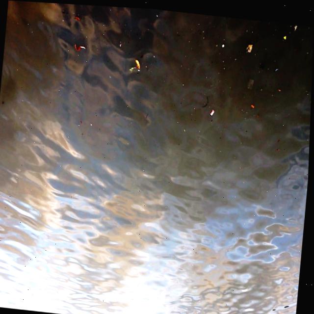 Dataset Image
