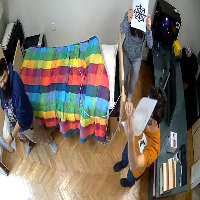Dataset Image