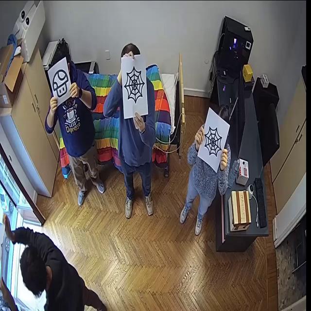 Dataset Image