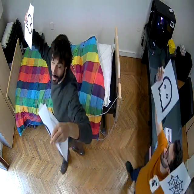 Dataset Image