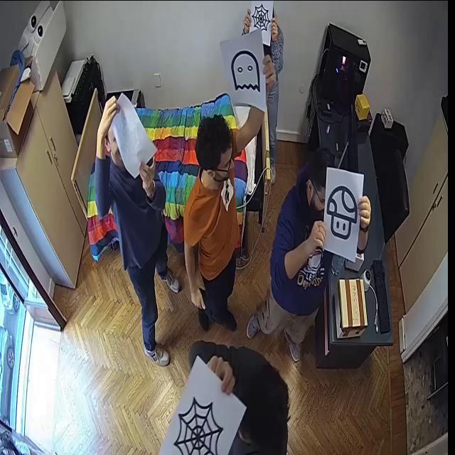 Dataset Image