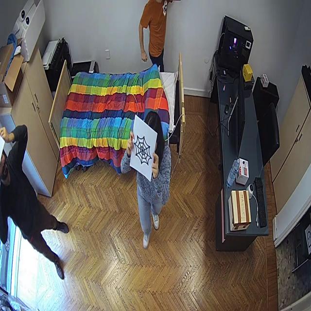 Dataset Image