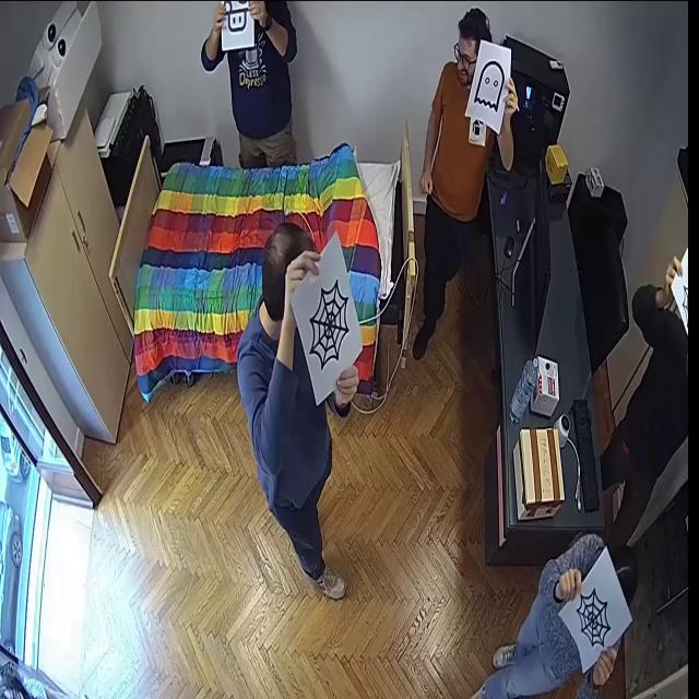 Dataset Image