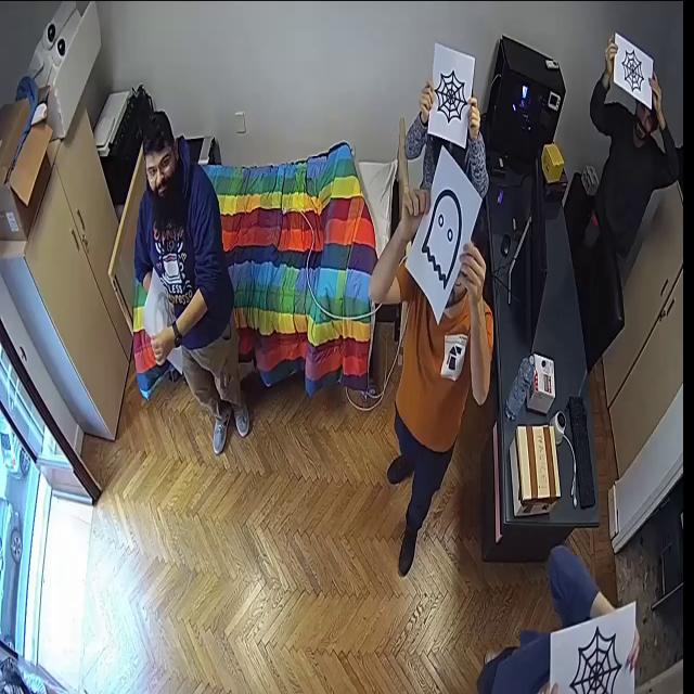 Dataset Image