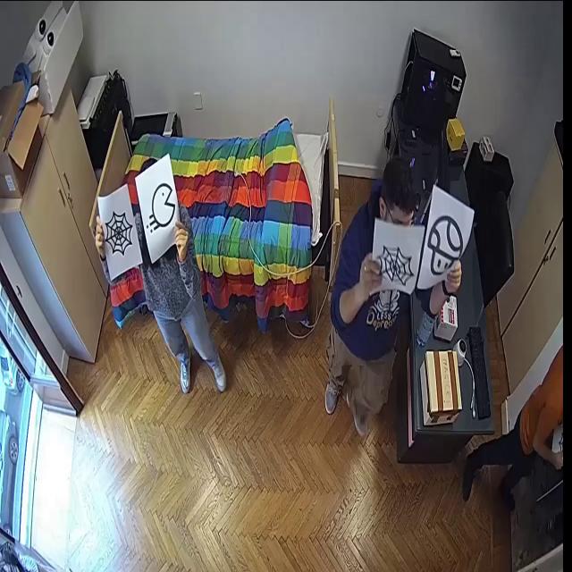 Dataset Image