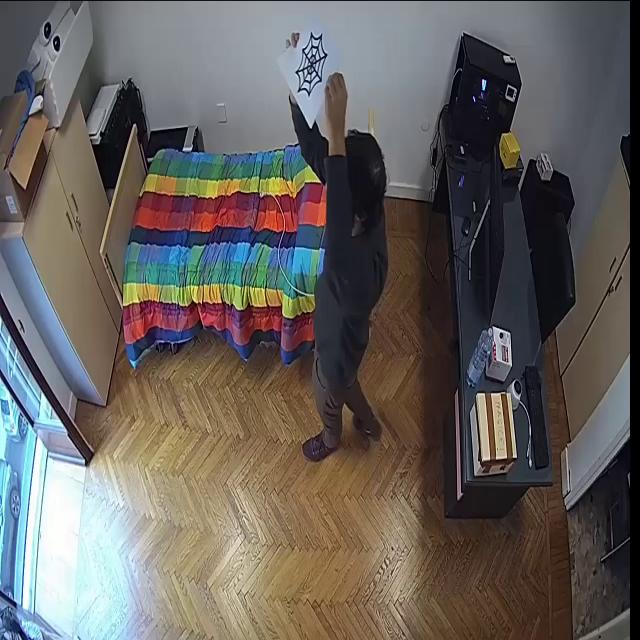 Dataset Image