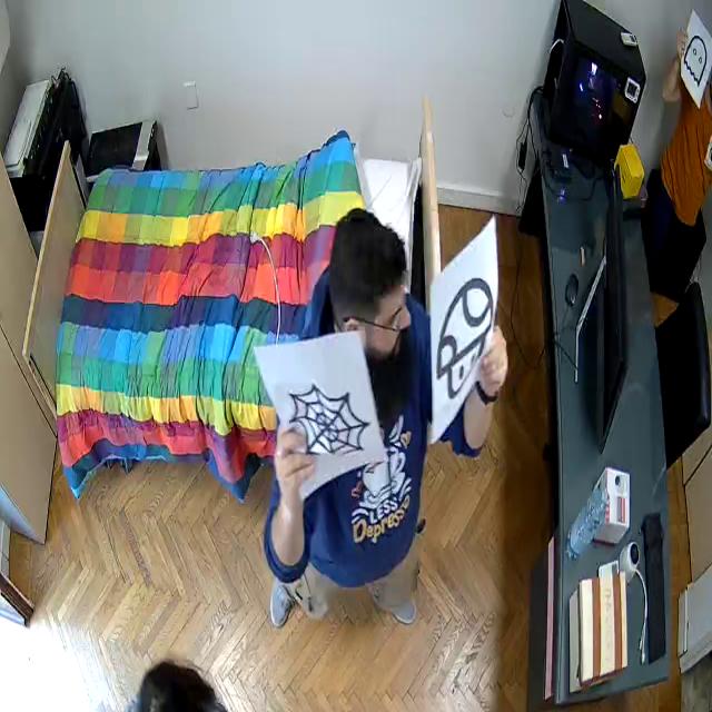 Dataset Image