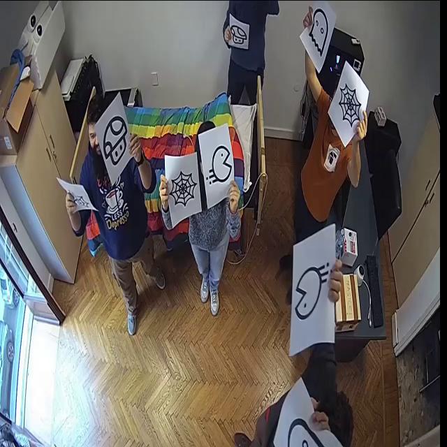 Dataset Image