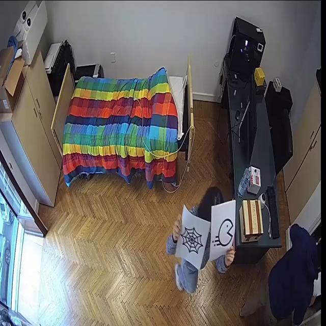 Dataset Image