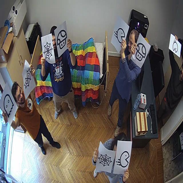Dataset Image