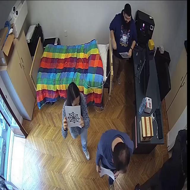 Dataset Image