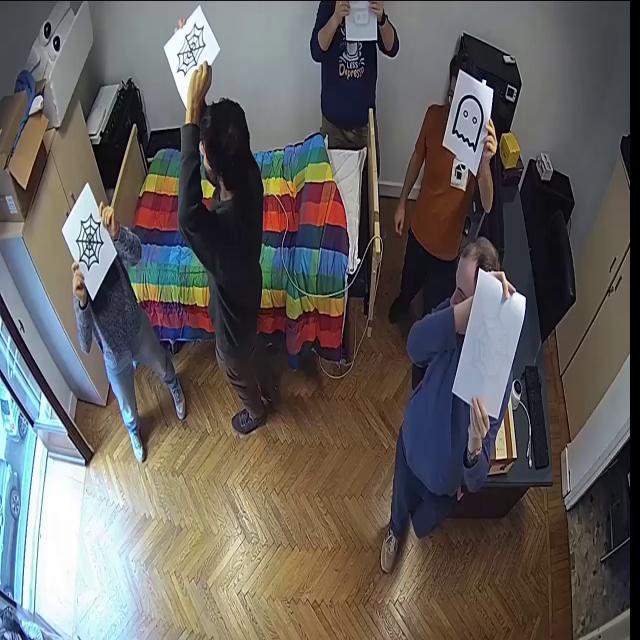 Dataset Image