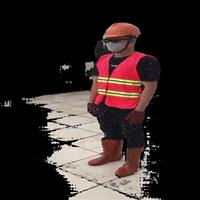 Dataset Image