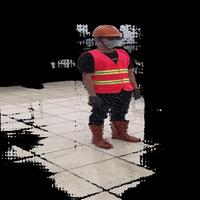 Dataset Image