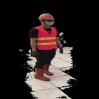 Dataset Image