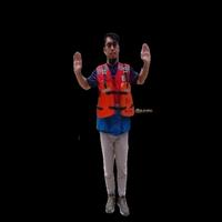 Dataset Image