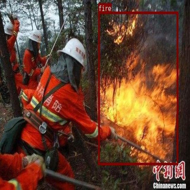 Dataset Image