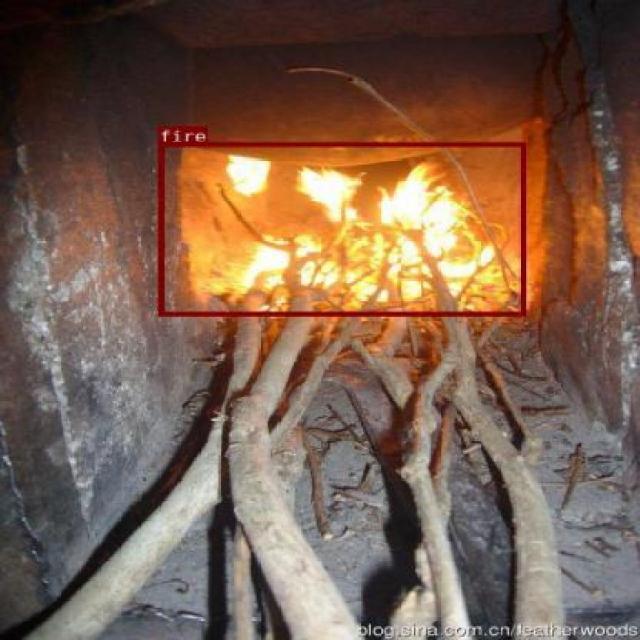 Dataset Image