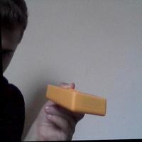 Dataset Image