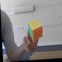Dataset Image