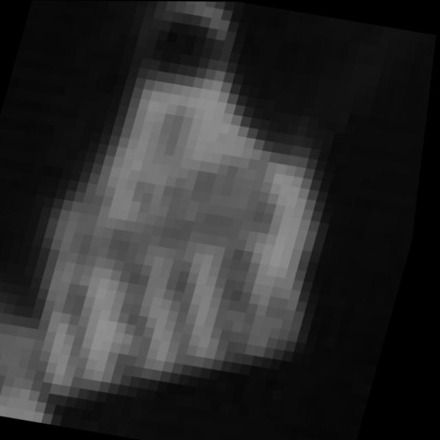 Dataset Image