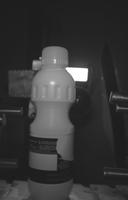 Dataset Image