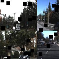 Dataset Image