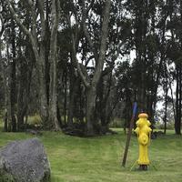 Dataset Image