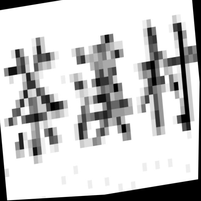 Dataset Image