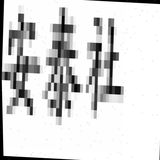 Dataset Image