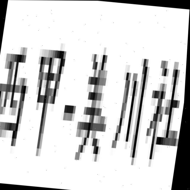 Dataset Image