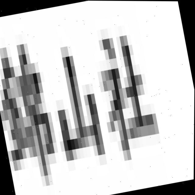 Dataset Image