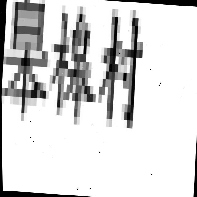 Dataset Image