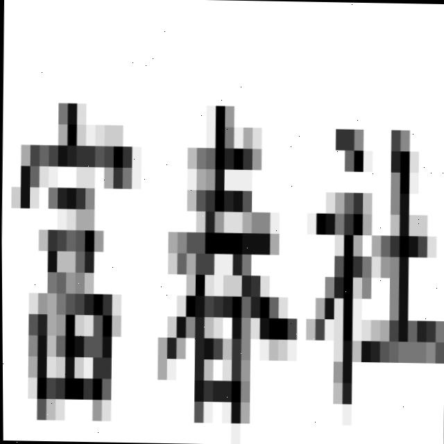 Dataset Image