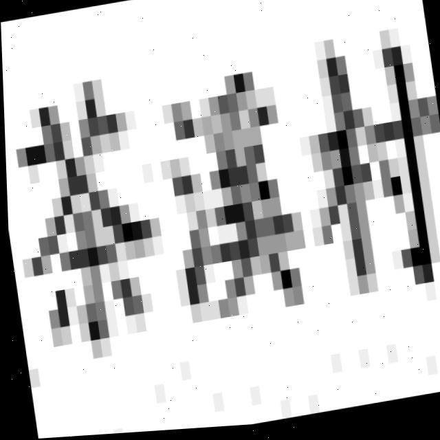 Dataset Image