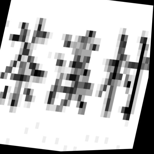 Dataset Image