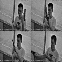 Dataset Image