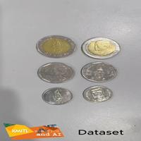 Dataset Image