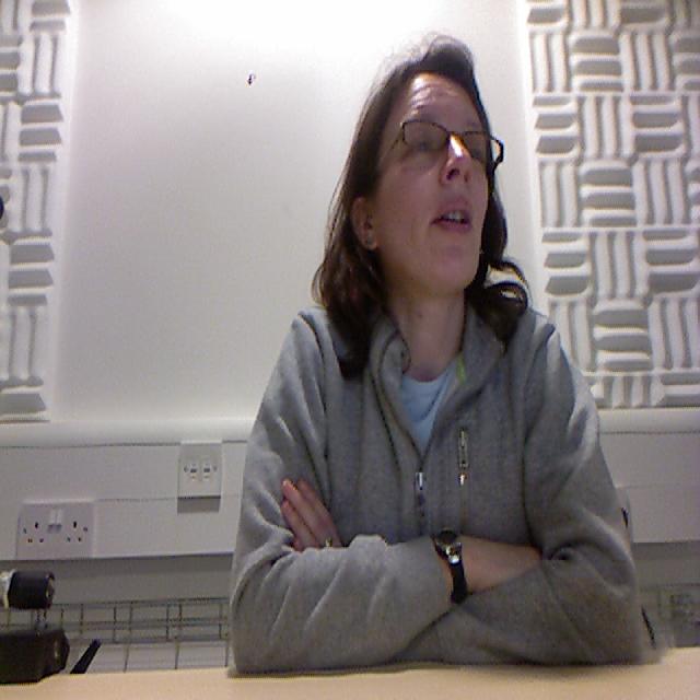 Dataset Image